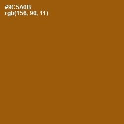 #9C5A0B - Chelsea Gem Color Image