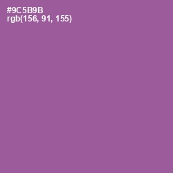 #9C5B9B - Trendy Pink Color Image