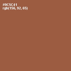 #9C5C41 - Sepia Skin Color Image