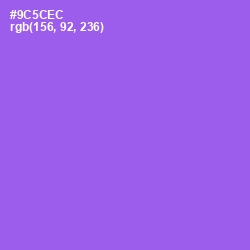 #9C5CEC - Medium Purple Color Image