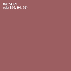 #9C5E61 - Cannon Pink Color Image