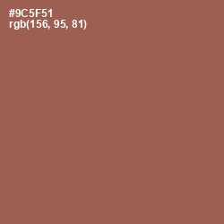 #9C5F51 - Sepia Skin Color Image