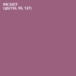 #9C607F - Bazaar Color Image