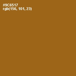 #9C6517 - Corn Harvest Color Image
