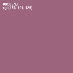 #9C657D - Bazaar Color Image