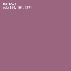 #9C657F - Bazaar Color Image