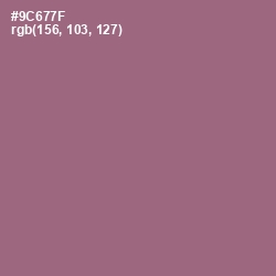 #9C677F - Bazaar Color Image