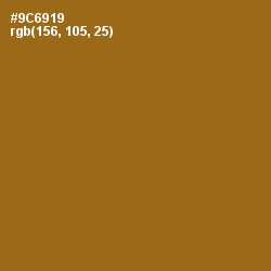#9C6919 - Corn Harvest Color Image
