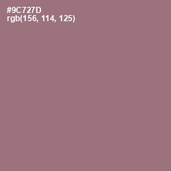 #9C727D - Bazaar Color Image