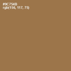 #9C754B - Leather Color Image