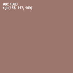 #9C756D - Almond Frost Color Image