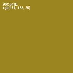 #9C841E - Reef Gold Color Image