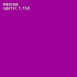 #9D0198 - Violet Eggplant Color Image