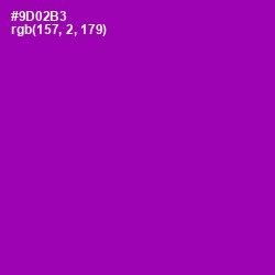 #9D02B3 - Violet Eggplant Color Image