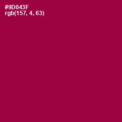 #9D043F - Paprika Color Image