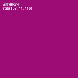 #9D0B74 - Fresh Eggplant Color Image