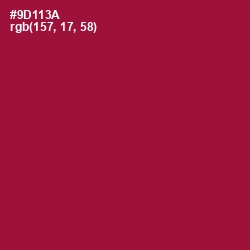 #9D113A - Paprika Color Image