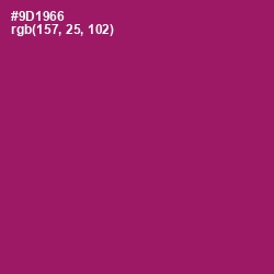 #9D1966 - Fresh Eggplant Color Image