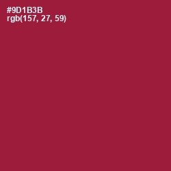 #9D1B3B - Merlot Color Image