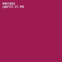 #9D1B50 - Disco Color Image