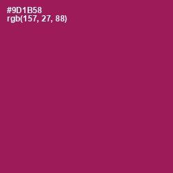 #9D1B58 - Disco Color Image