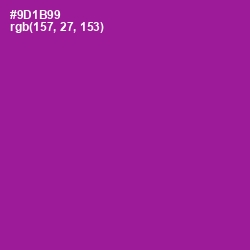 #9D1B99 - Violet Eggplant Color Image