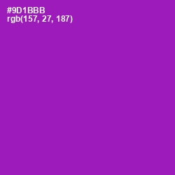 #9D1BBB - Violet Eggplant Color Image