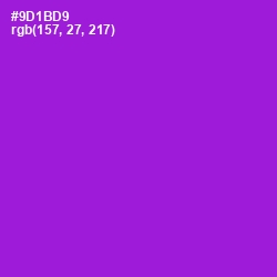 #9D1BD9 - Electric Violet Color Image