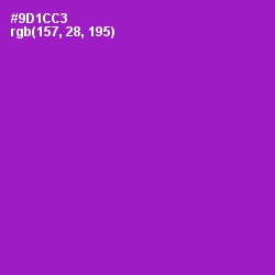 #9D1CC3 - Electric Violet Color Image