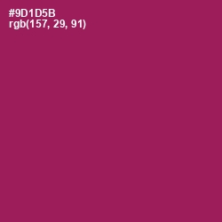 #9D1D5B - Disco Color Image