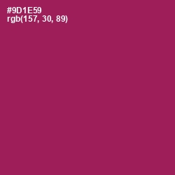 #9D1E59 - Disco Color Image