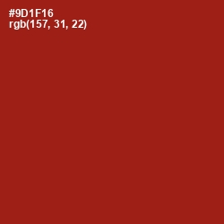 #9D1F16 - Tamarillo Color Image