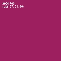 #9D1F60 - Fresh Eggplant Color Image