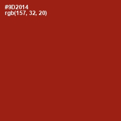 #9D2014 - Cognac Color Image