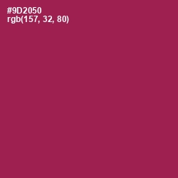 #9D2050 - Camelot Color Image