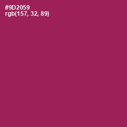 #9D2059 - Camelot Color Image