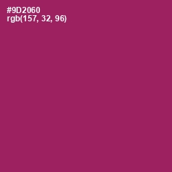 #9D2060 - Vin Rouge Color Image