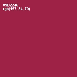 #9D2246 - Solid Pink Color Image