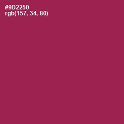 #9D2250 - Camelot Color Image