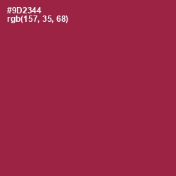 #9D2344 - Solid Pink Color Image