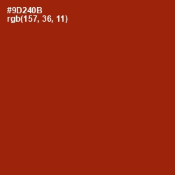 #9D240B - Cognac Color Image