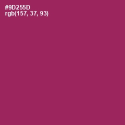 #9D255D - Camelot Color Image