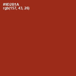 #9D2B1A - Cognac Color Image