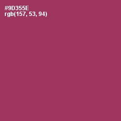 #9D355E - Camelot Color Image