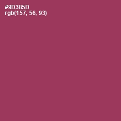 #9D385D - Camelot Color Image