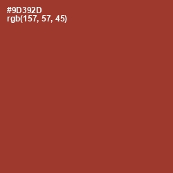 #9D392D - Prairie Sand Color Image