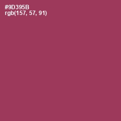 #9D395B - Camelot Color Image