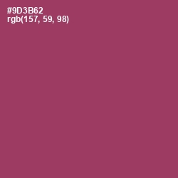 #9D3B62 - Vin Rouge Color Image