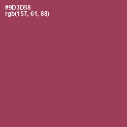 #9D3D58 - Camelot Color Image