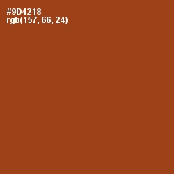 #9D4218 - Korma Color Image